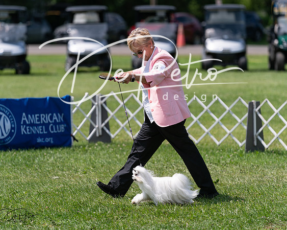 20240630-DSC01648
