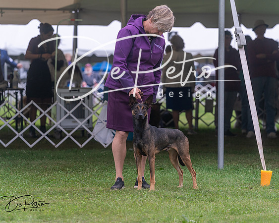 20250627-DSC06550