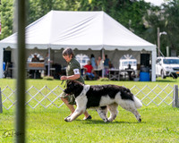 20240630-DSC02907