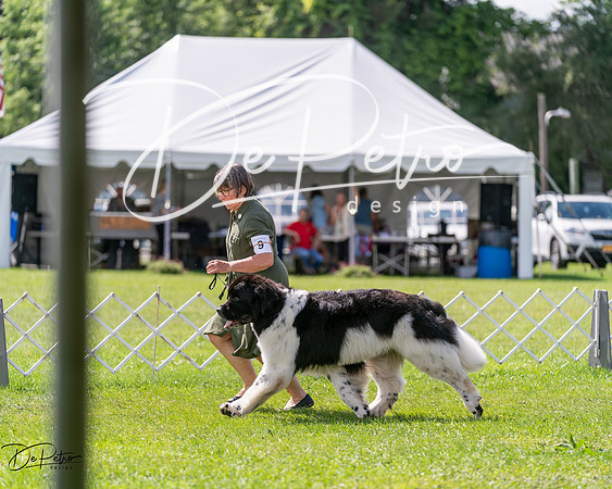 20240630-DSC02907