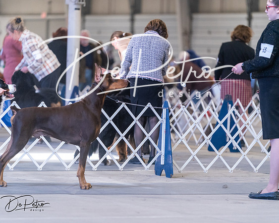 20250302-DSC06336