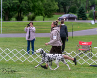 20250627-DSC06358