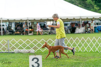 20240630-DSC02266