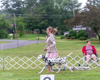 20250626-DSC03506