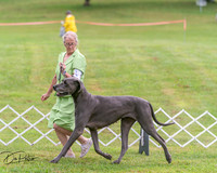 20250626-DSC04110