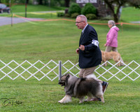 20250627-DSC06366