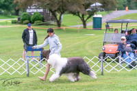 20250627-DSC06168