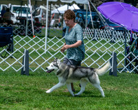 20250629-DSC09396