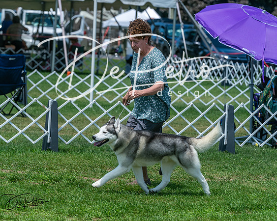 20250629-DSC09396