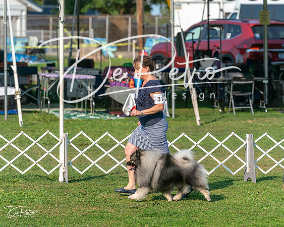 20240913-DSC00338