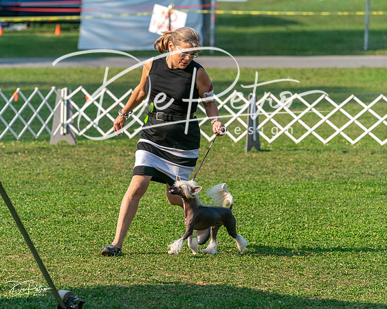 20240913-DSC00451