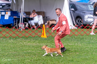 20250621-DSC09363