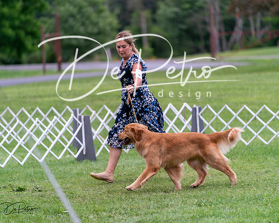 20240630-DSC00682