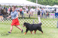 20250628-DSC07591