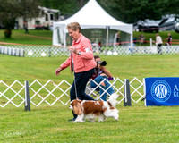 20250626-DSC03088