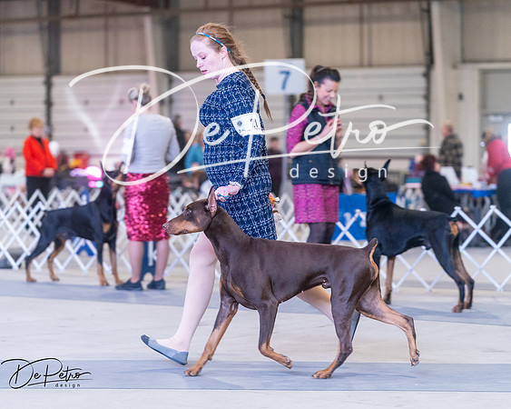 20250302-DSC06911