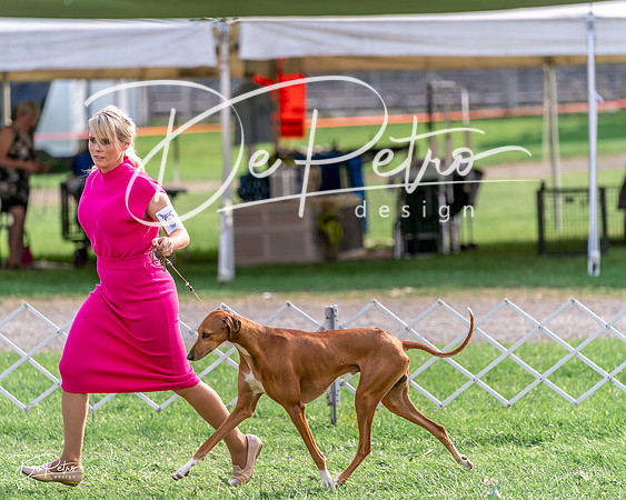 20240815-DSC08718