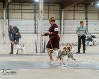 20250302-DSC07840