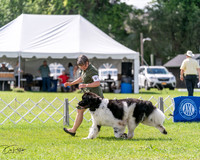 20240630-DSC02902