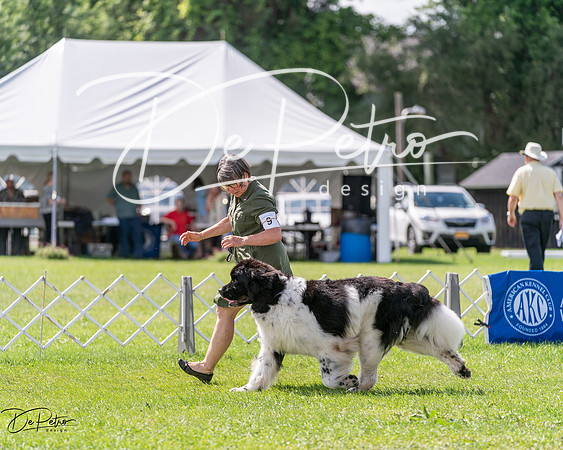 20240630-DSC02902