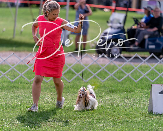 20240815-DSC06689