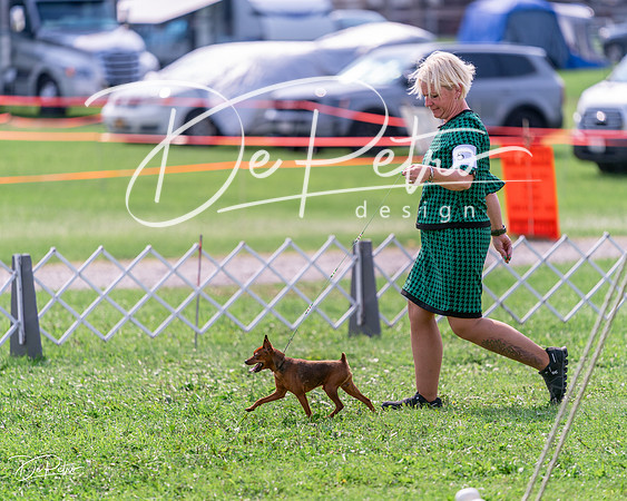 20240815-DSC06480