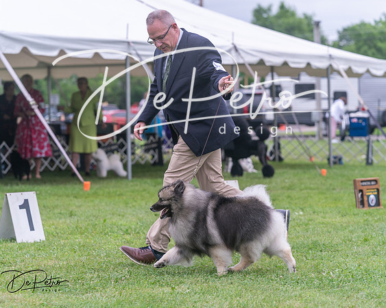 20250627-DSC06531