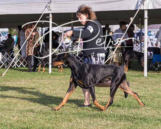 20190929-DSC02185