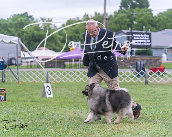 20250627-DSC06522