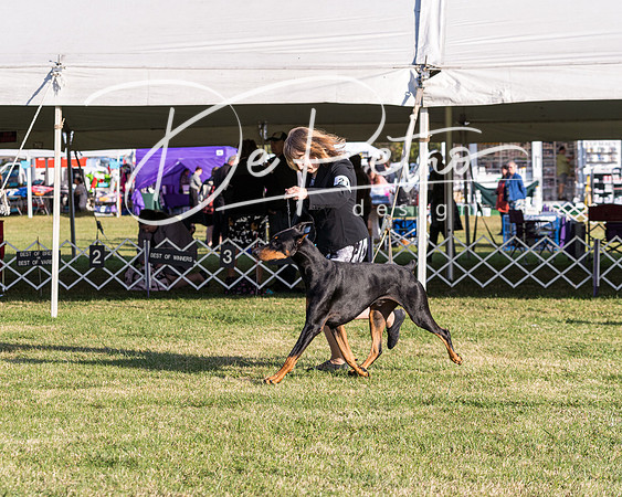 20190929-DSC02627