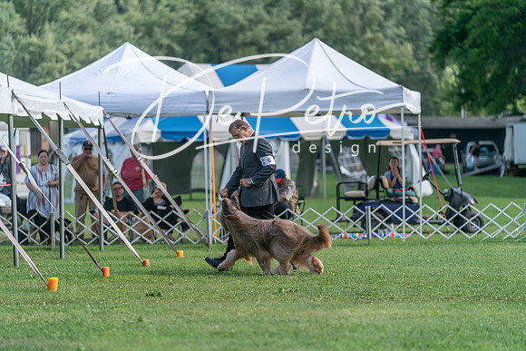 20240630-DSC05285
