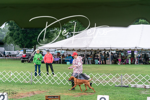 20240629-DSC06925