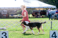 20240630-DSC04707