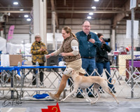 20250301-DSC04603