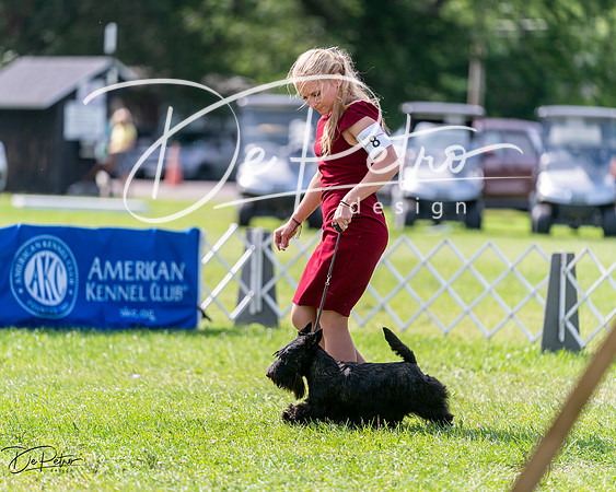 20240630-DSC03644