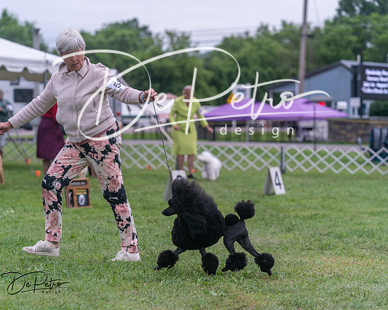 20250627-DSC06739