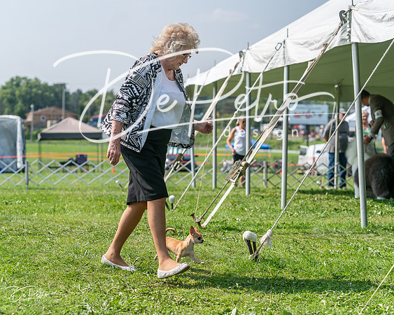 20240816-DSC01127