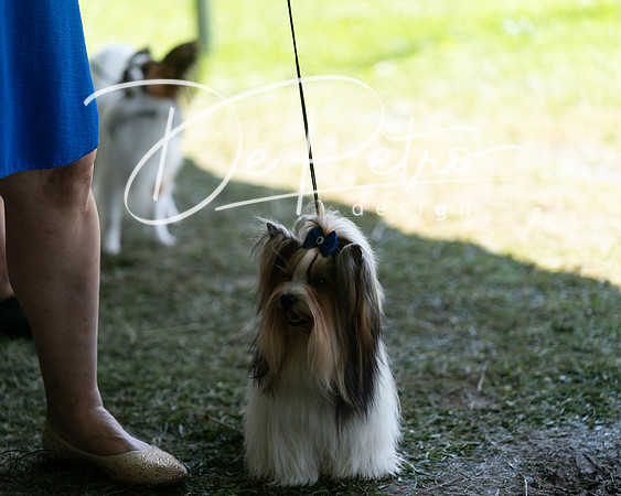 20240630-DSC01462