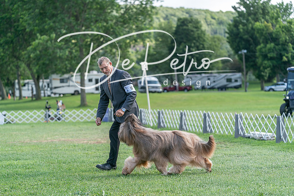 20240630-DSC05217