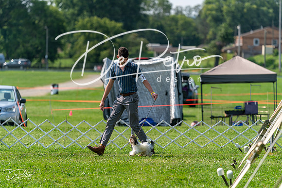 20240816-DSC00382