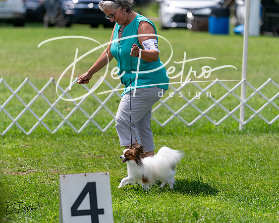 20240630-DSC01623