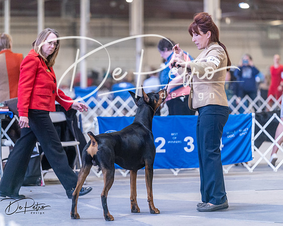 20250302-DSC06277