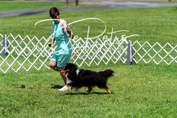 20240630-DSC01354