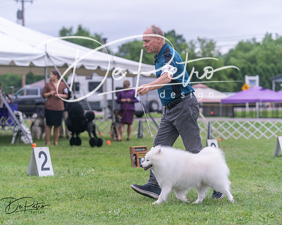 20250627-DSC06599