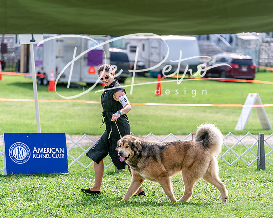 20240815-DSC07792