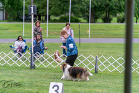 20250627-DSC06239