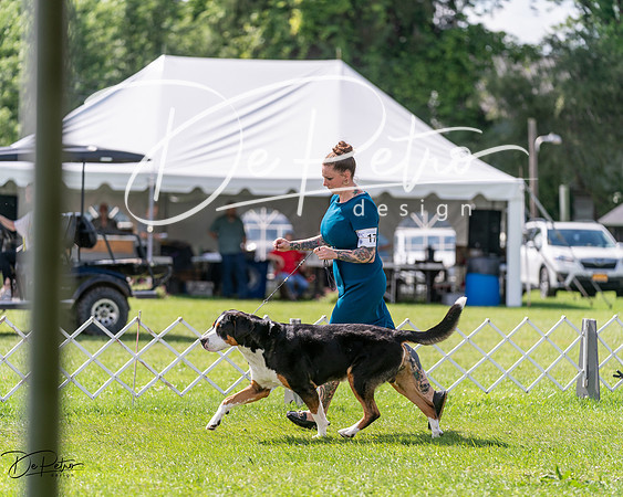 20240630-DSC02887