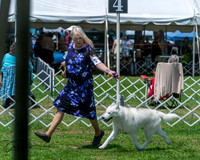20250629-DSC09347