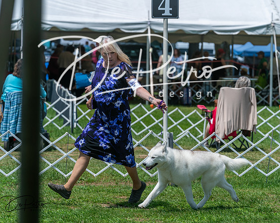 20250629-DSC09347