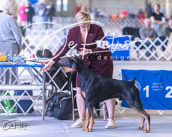 20250302-DSC07040
